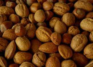 Van Bitterbal tot Stroopwafel: Utrechtse Snacks die je Geproefd Moet Hebben Van Bitterbal tot Stroopwafel: Utrechtse Snacks die je Geproefd Moet Hebben