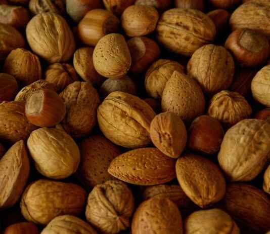 Van Bitterbal tot Stroopwafel: Utrechtse Snacks die je Geproefd Moet Hebben Van Bitterbal tot Stroopwafel: Utrechtse Snacks die je Geproefd Moet Hebben