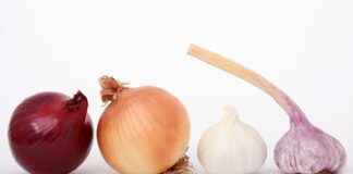 Vegan en Vegetarisch Eten in Utrecht: Onze Favoriete Adresjes Vegan en Vegetarisch Eten in Utrecht: Onze Favoriete Adresjes