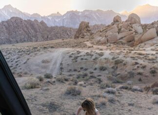 Ajax – Al-Wasl Opstellingen: Ontdek De Spannende Tactieken Van Vandaag