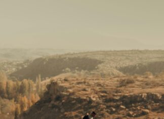 Slowaaks Voetbalelftal En Roemeens Voetbalelftal Opstellingen Ontdekt!