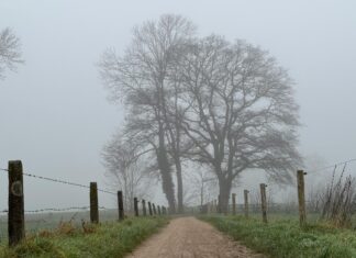Twente Vs Ajax: Spannende Wedstrijdanalyse En Exclusieve Inzichten