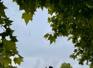 Leverkusen – RB Leipzig Opstellingen: Ontdek De Verrassende Teamselecties!