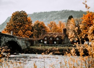 Welsh Voetbalelftal En Turks Voetbalelftal Opstellingen: Wie Staat Er Sterker?