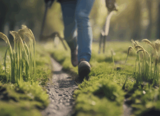 Hoe Je Wandelingen Plant Langs Minder Bekende Utrechtse Routes 2024 Hoe Je Wandelingen Plant Langs Minder Bekende Utrechtse Routes 2024