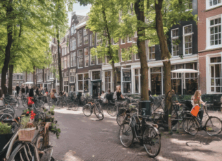 Werken In Utrecht: Hoe Pas Je Snel Aan De Nederlandse Werkcultuur Aan?