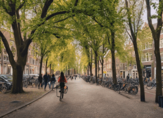 Hoe Je Je Eerste Jaar In Utrecht Stressvrij Maakt: Ontdek Hoe!
