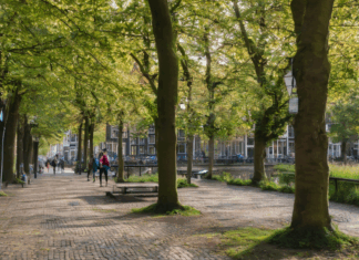 Hoe Je De Beste Plekken Vindt Voor Rustige Wandelingen In Utrecht?