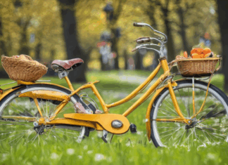 Hoe Je Nederlandse Feestdagen Begrijpt En Meedoet: Ontdek Het Geheim!