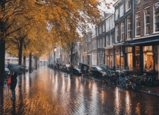 Hoe Je Je Eerste Regenachtige Herfst In Nederland Perfect Doorstaat