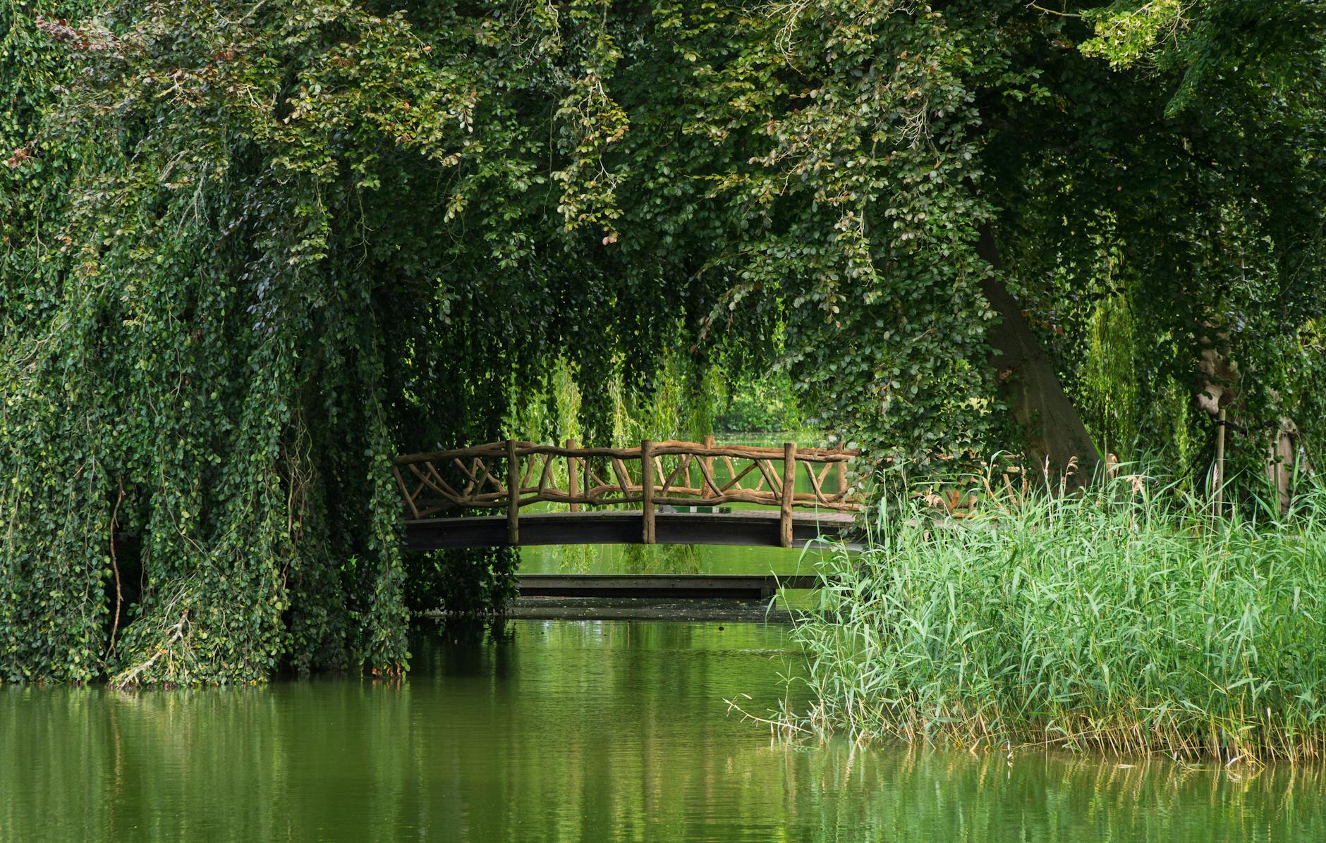 De waarheid over Servette’s sterke punten – hoe FC Utrecht ze kan tegenwerken*