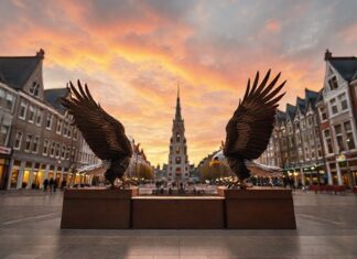 Ga Eagles naar Twente: Winstgevende kansen voor jouw bedrijf