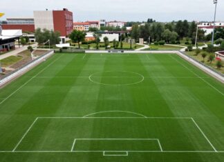 Benfica vs Fenerbahçe: De beste opstellingen voor een spannend duel