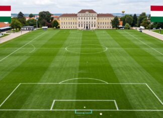 Vergelijk de opstellingen van Hongarije en Nederland voor de wedstrijd