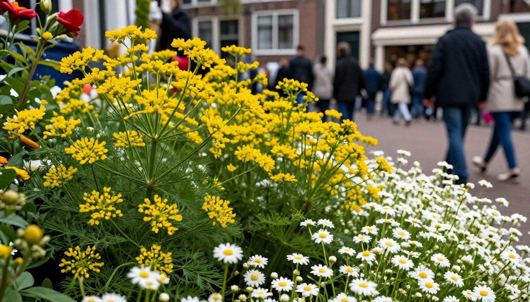 Kleurrijke bloemen en levendige activiteiten